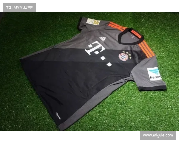 从绿茵到荣耀殿堂拜仁慕尼黑主场的历史传承与辉煌历程 从绿茵到荣耀殿堂拜仁慕尼黑主场的历史传承与辉煌历程