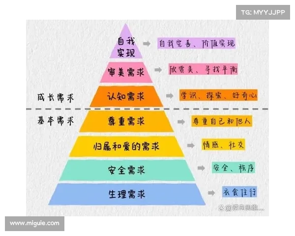 全方位深入解析瓦尔迪在球队体系中的角色定位与价值认知提升路径